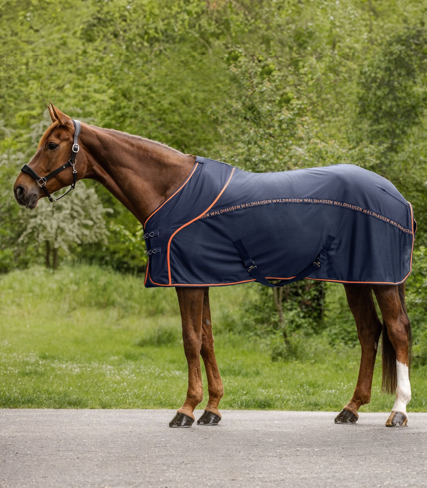 Mesh Summer Cooler / Fly Sheet