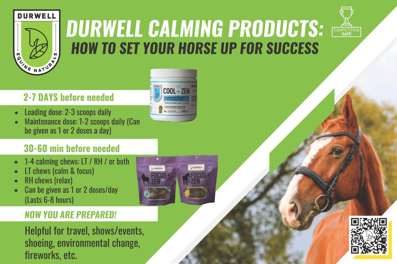 Focus + Zen RH+ Calming Chews for Horses