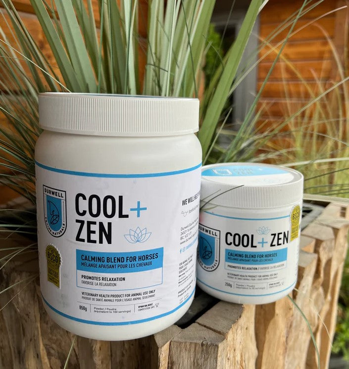 Cool & Zen: Calming Blend for Horses