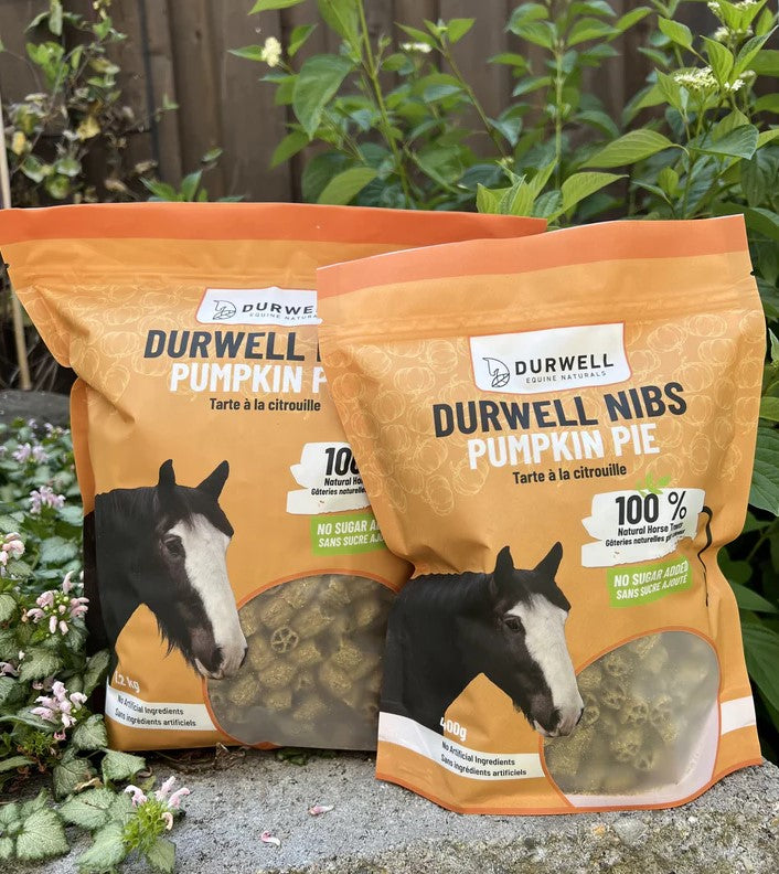 Nibs Horse Treats: Pumpkin Pie - No Sugar Added
