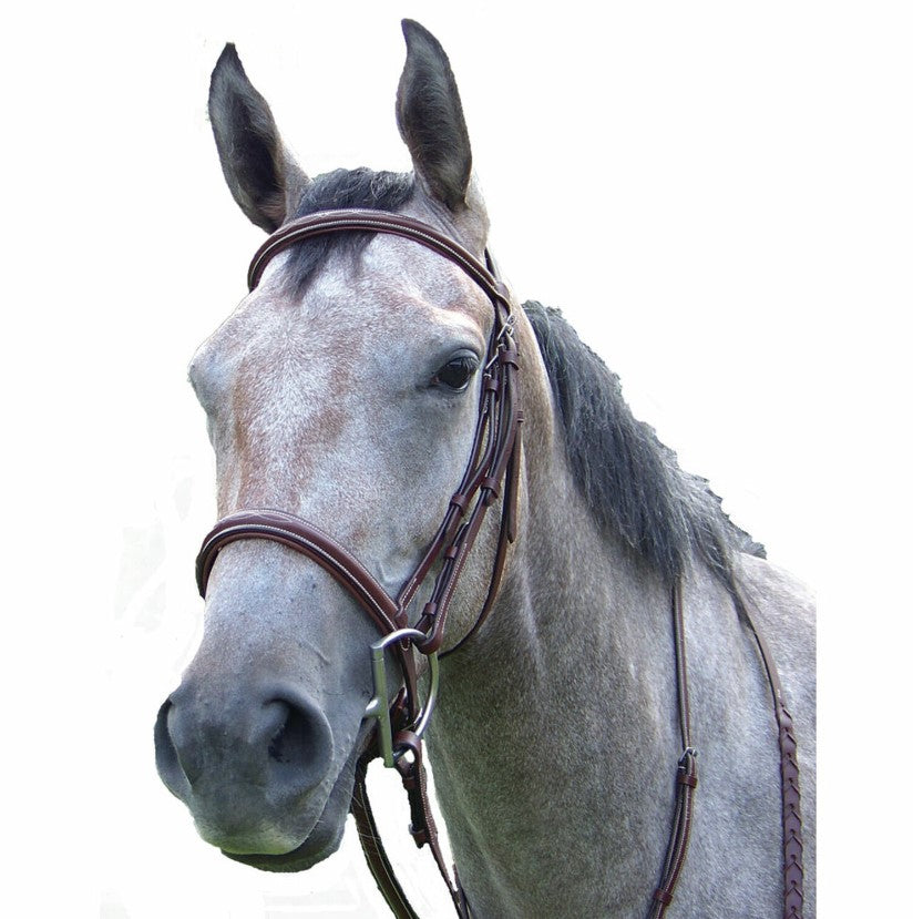 Pro-Trainer Fancy Raised Hunter Bridle
