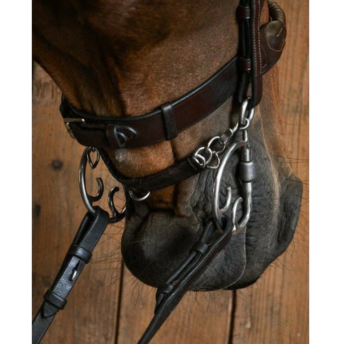 Fager Chain Curb Strap