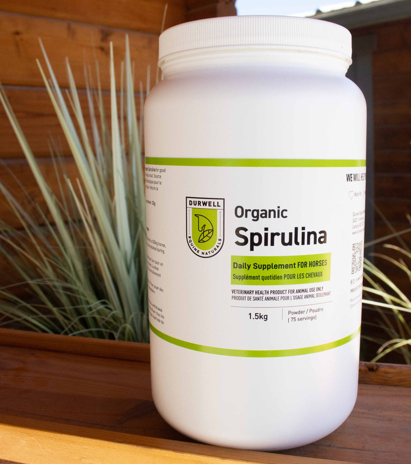 Organic Spirulina