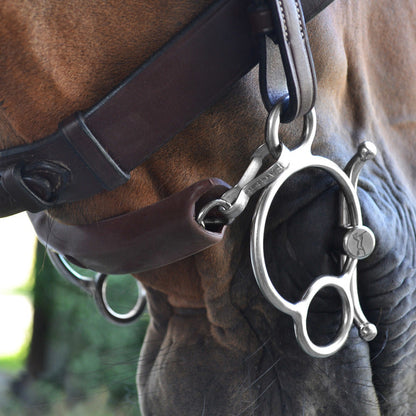Fager Curb Chain Guard