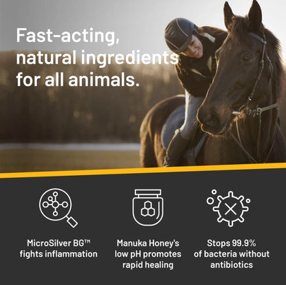 Silver Honey Rapid Wound Repair Ointment 60gm