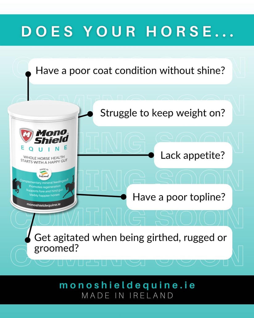 Monoshield Equine Granules for Digestive Health 1kg